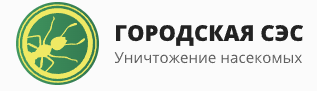 Тел сэс. Городская СЭС. СЭС логотип. Городская СЭС Кемерово. СЭС Новосибирск.